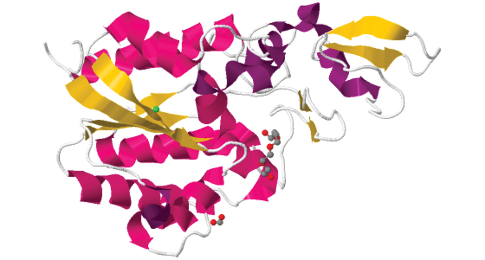 Crystal structure, protein DSM2588 [Chitinophaga pinensis]