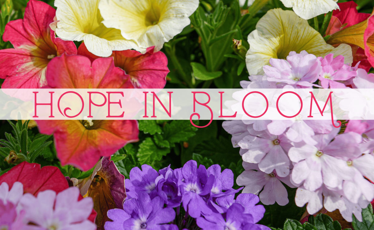 Hope in Bloom